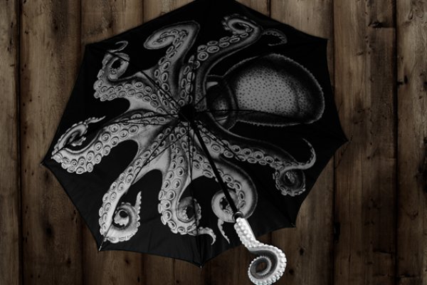 Kraken рабочее зеркало onion