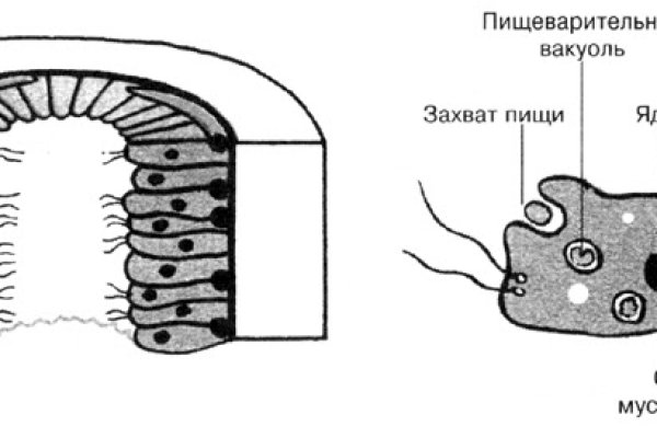 Кракен марке