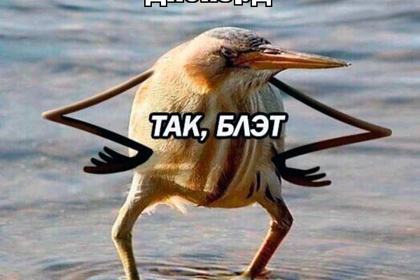 Karken