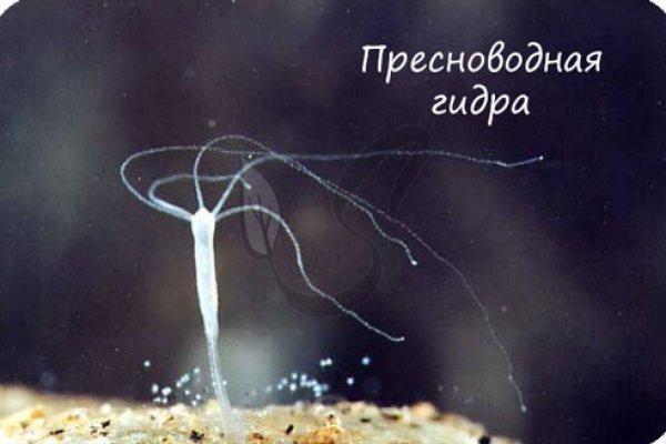 Как вывести деньги с маркетплейс