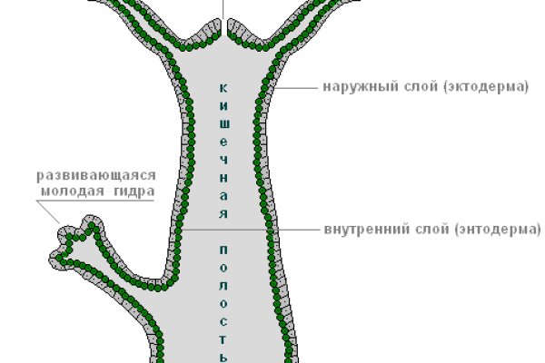 Кракен ссылка онлайн