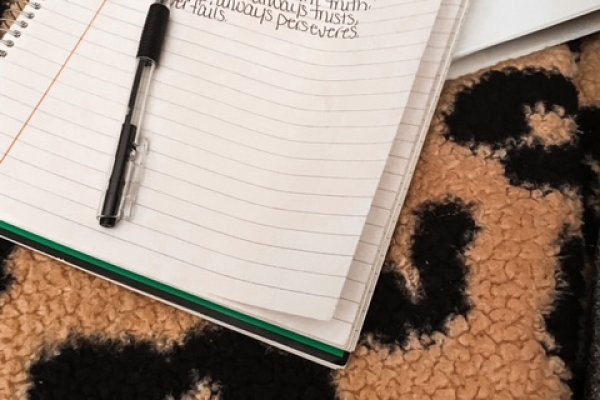 Кракен маркет даркнет только через стор