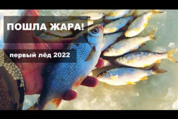 Kraken online