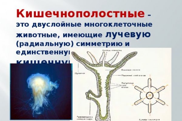 Kraken 2025 ссылка