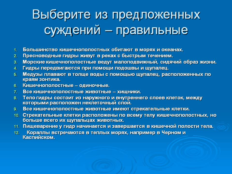 Как вывести деньги с маркетплейс